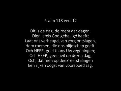 Psalm 118 vers 12
