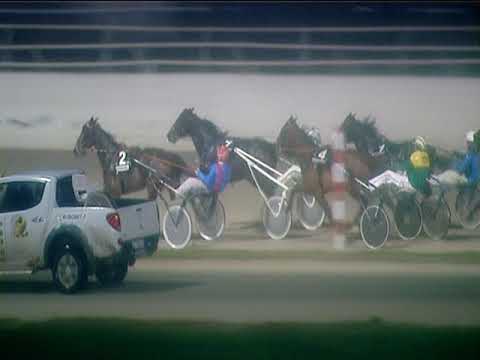 Trotto 22/01/2019 - 6ª corsa