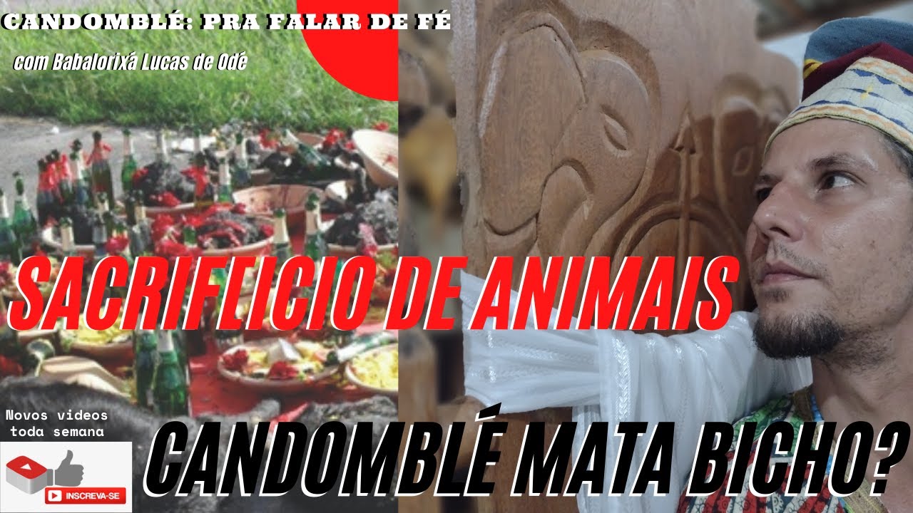 Sacrifício de animais em cultos religiosos: Candomblé mata bicho?