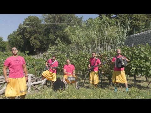 Ansambel Nebojsega - Prosekar