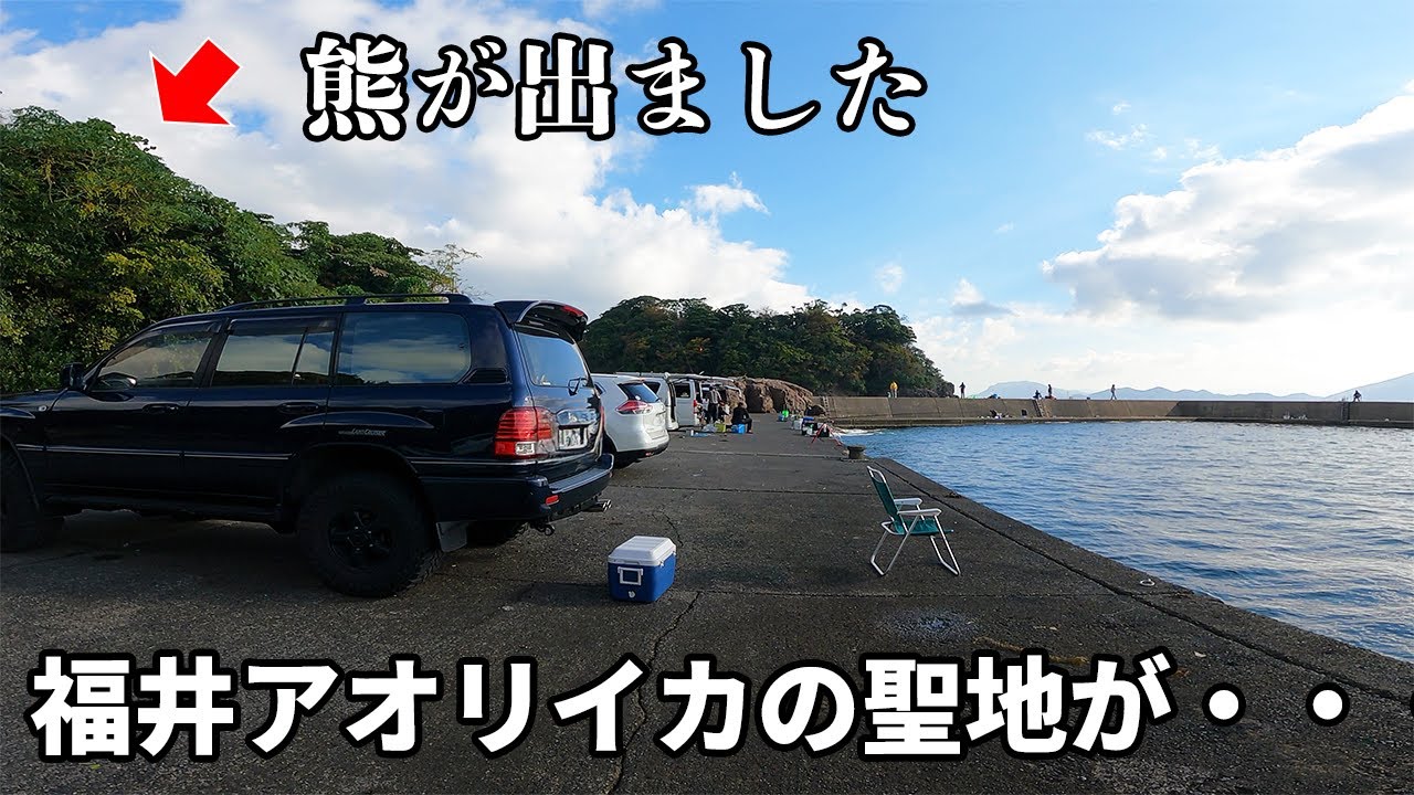 【釣り】熊出没注意の「魔の激戦区」アオリイカとの激闘1時間全記録（総集編）