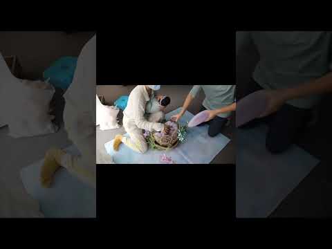 How I make this flower bow wrap for photo shoot #newbornphotography