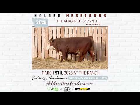 Holden Herefords | March 9, 2026