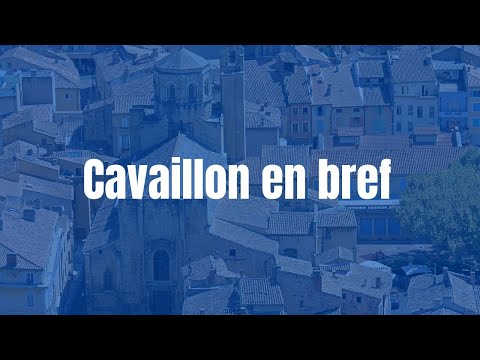 Video vignette