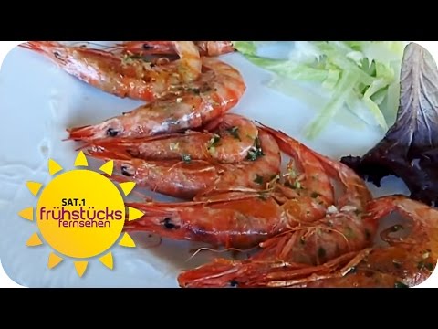 Chef undercover: Moby Dick in Palma de Mallorca | SAT.1 Breakfast Television | TV