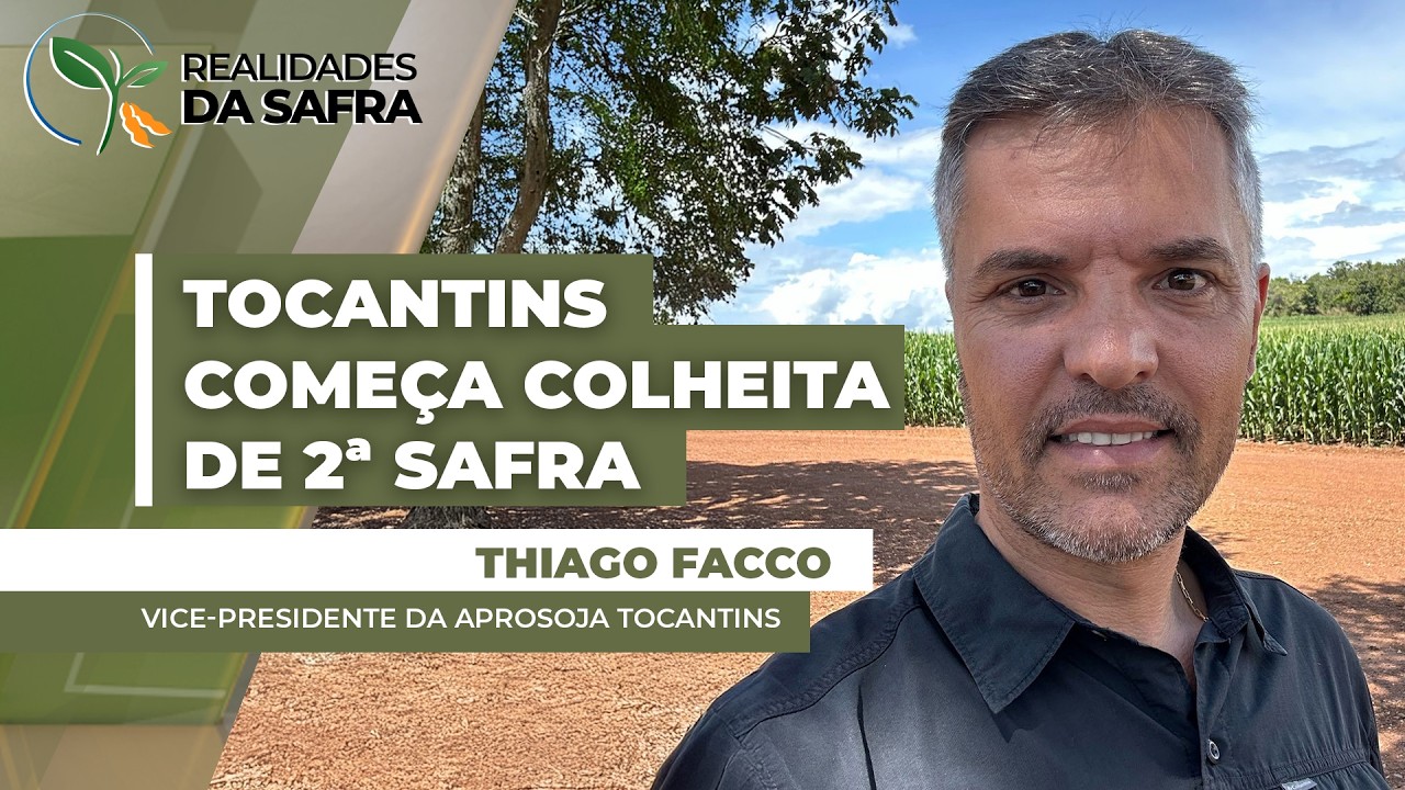 Milho, gergelim e feijão começam a ser colhidos com boas expectativas em Tocantins