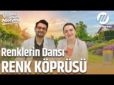 Renkli Su Köprüsü