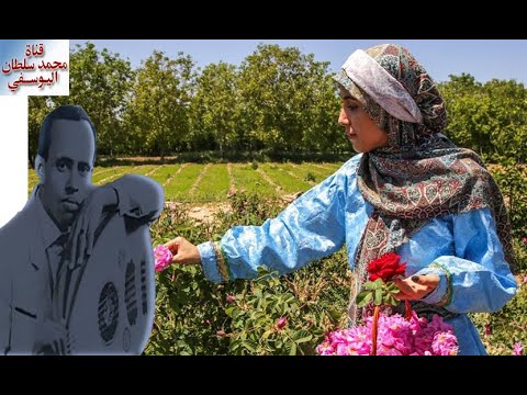 قطفت لك محمد مرشد ناجي