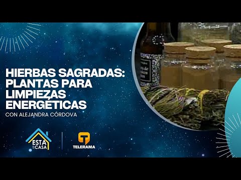 Rincón de Energía: Hierbas sagradas plantas para limpiezas energéticas