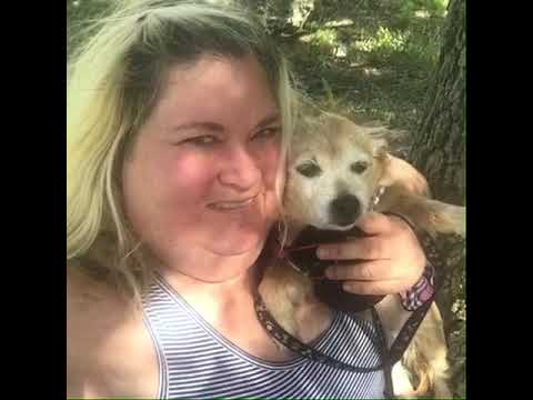 In loving memory of my baby Annie