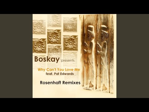 Why Can't You Love Me (feat. Pat Edwards)