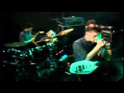 New Order - Everything's gone green