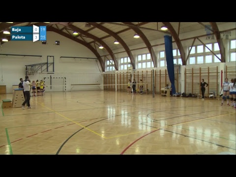 Baja - Palota | Röplabda élő