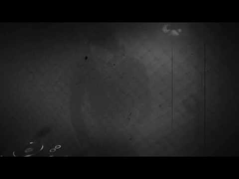 DEKAI @ TECHNO KELLER HATTENHEIM