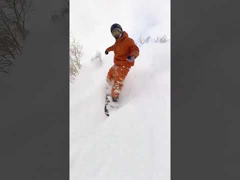 又又又又要去Niseko二世古了！ 3.410，单双板可滑！来吧大粉雪#勇敢的人先享受冰雪 #抖音雪地狂欢季 #二世古滑雪教练