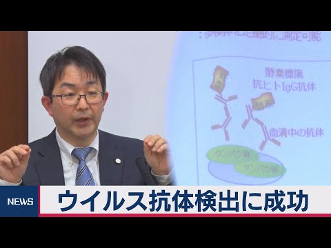 コロナウイルス防御の研究で成功:研究者らが有望な抗体を発見