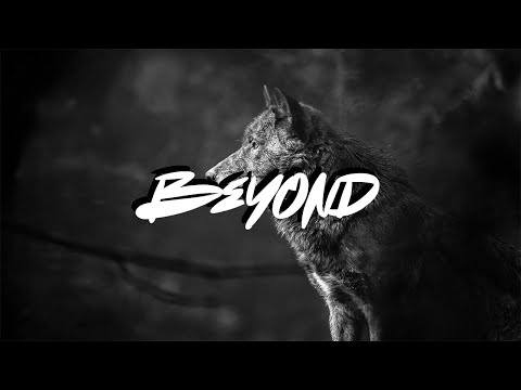 Selena Gomez & Marshmello - Wolves (Donk Squad Remix)