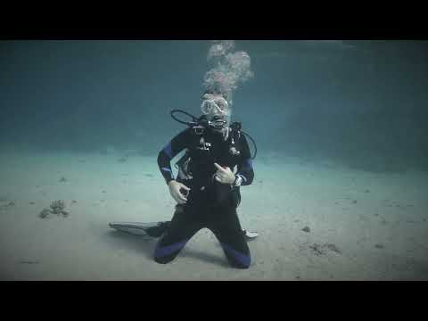 Removing and Replacing the Weight System (Underwater, Integrated Weights)