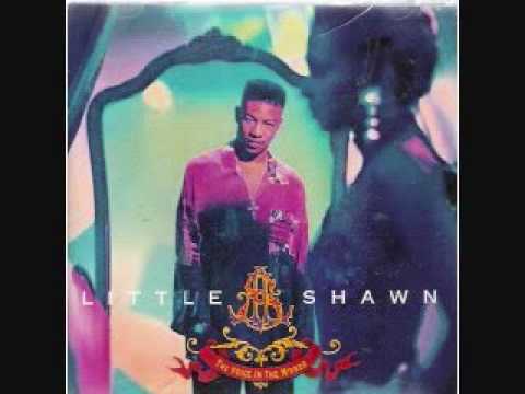 Little Shawn Say What U Wanna Say
