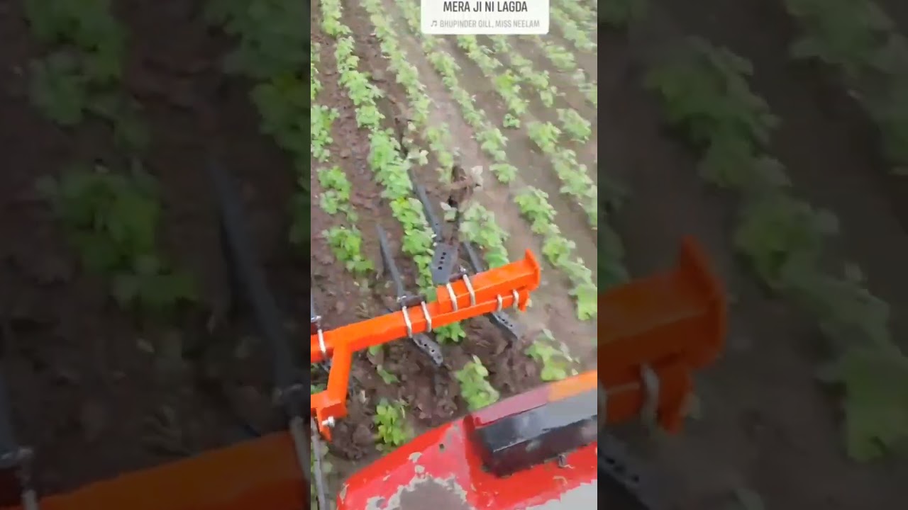 soyabean 🌿 ki nidai🚜🚜