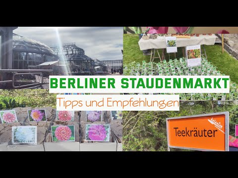 Geheimtipp!! Rundgang Berliner Staudenmarkt 2025 - Raritäten, Empfehlungen und Tipps
