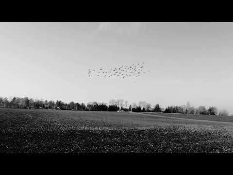 Petit - Tvůj čas na zemi