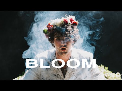 IMPVLSE - bloom (Official Music Video)