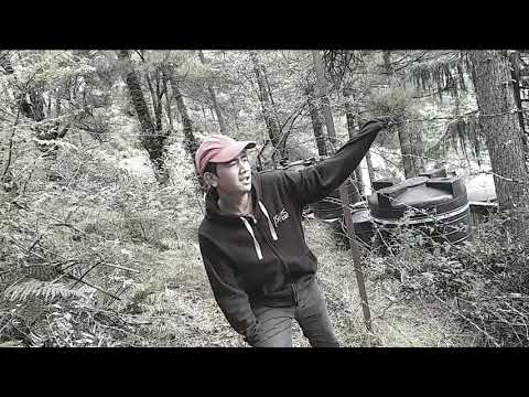 Tam Tshi Sum Coverup video