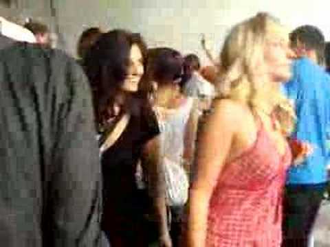 schafe in der kunstfabrik