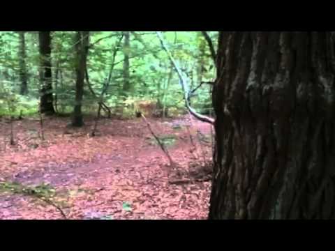 Bleib - außer Sicht