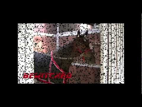 Bewitched, She Is Fly