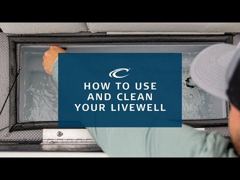How To Use and Clean Your Livewell