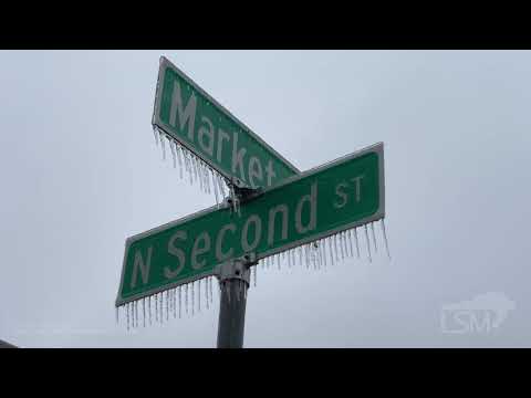 02-11-2021 Memphis, TN - Half Inch Ice Accumulations - Trees, Roads, Sidewalks Covered