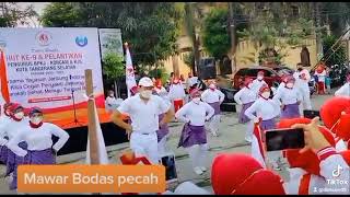 Download lagu mawar bodas ipkjs Tangsel #senam #trending #viral #dance #senamkreasi #mawarbodas mp3
