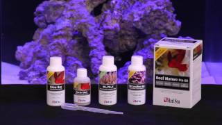 Red sea mature pro kit erfahrungen