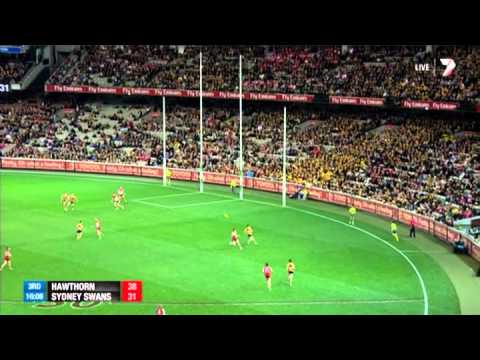 Qualifying Final 1 - Hawthorn v Sydney Swans Highlights - AFL