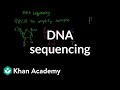 DNA Sequencing Biomolecules MCAT Khan Academy