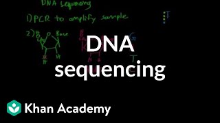 DNA sequencing | Biomolecules | MCAT | Khan Academy