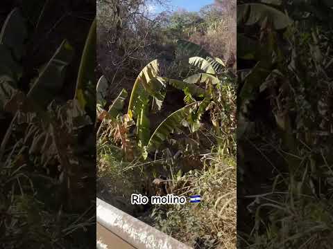 Saludos desde el rio molino ilobasco cabañas 🇸🇻