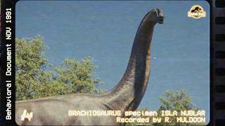 Muldoon's Log - Supplementary Footage A