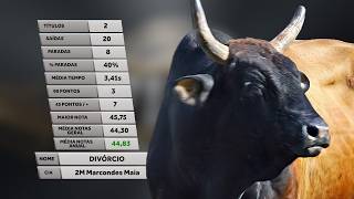 DIVÓRCIO (Cia. 2M) - MELHOR TOURO / Rodeio de PEREIRA BARRETO 2026