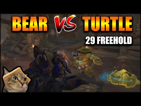 Bear Tank 1-SHOT By Turtle [29 Freehold]