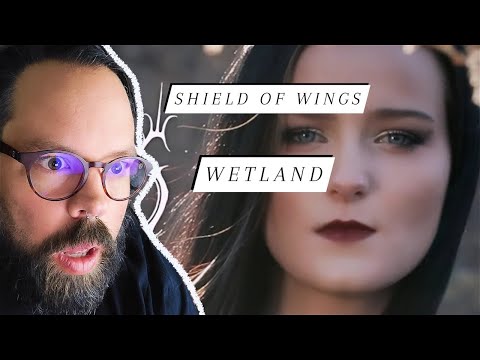 WHAT A PLEASANT SURPRISE! Ex Metal Elitist Reacts to Shield of Wings "Wetland"