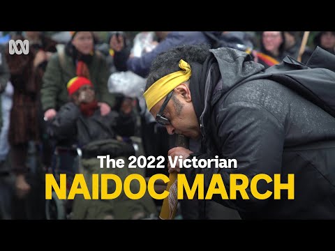 People at the NAIDOC Week March reflect on theme of Get Up, Stand Up, Show Up ️ ABC Australia