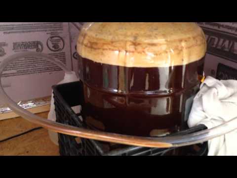 Fermentation Chamber in action