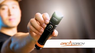 Dive Light or Flashlight What's the Best Choice for Underwater?