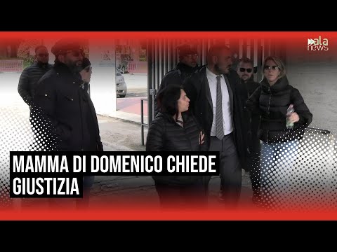 La mamma di Domenico: "Ora è un angelo, vogliamo giustizia"