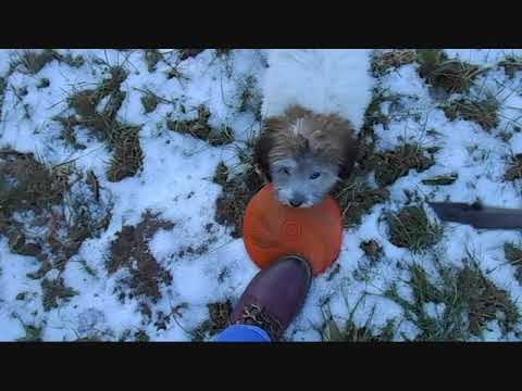 sukhi 4 months old...Happy Birthday