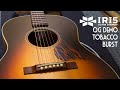 Iris Guitars - OG Tobacco Burst - Firestripe - Demo