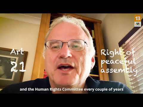 Professor Heyns gives some guidance on approaching the #WorldMoot2021 hypothetical case